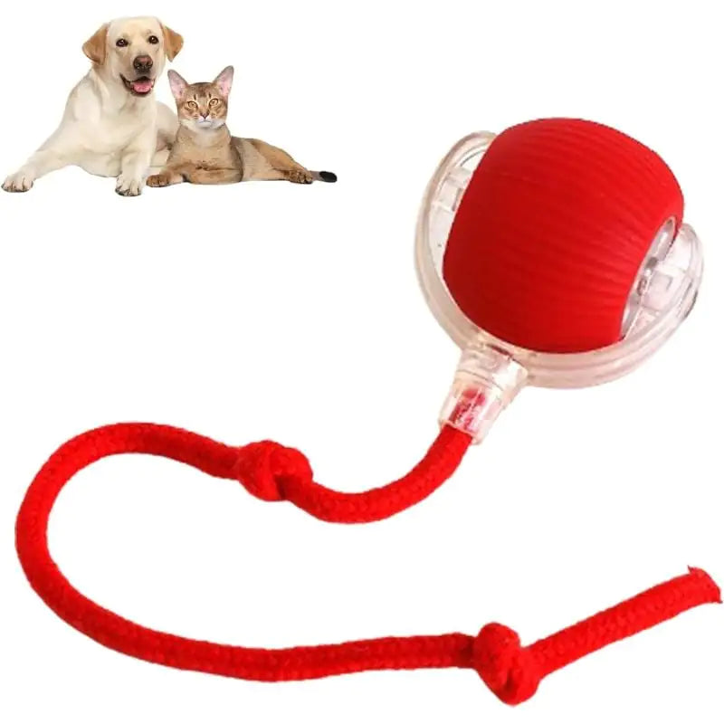 360 Smart Automatic Rolling Pet Ball - Interactive Fun for Pets