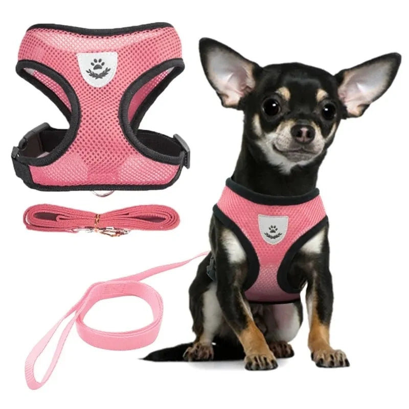 Comfy Pet Safety Harness - WUOF