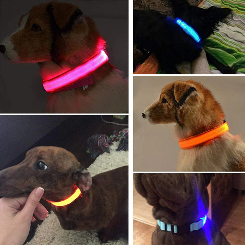 LED Glow Safety Dog Collar - Waterproof & Adjustable