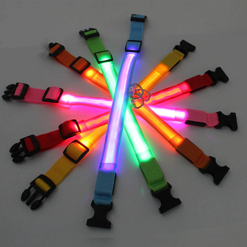 LED Glow Safety Dog Collar - Waterproof & Adjustable