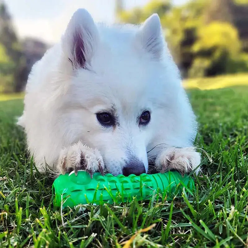Dental Chew for Dogs | Teeth Cleaning | Stress Relief - PawsomePets - WUOF