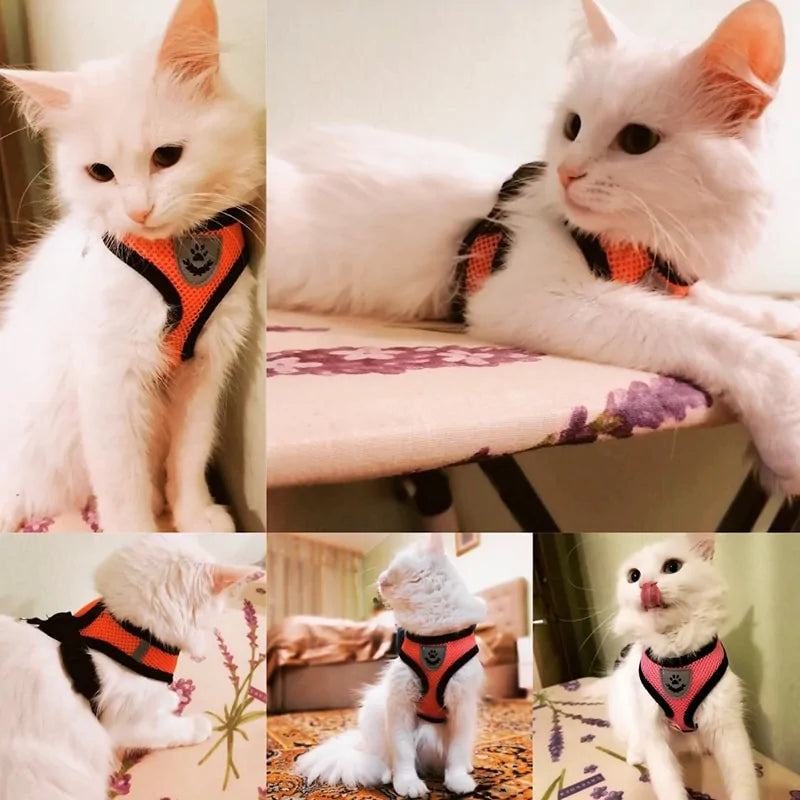 Comfy Pet Safety Harness - WUOF