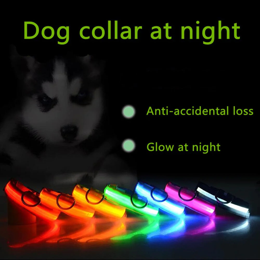 LED Glow Safety Dog Collar - Waterproof & Adjustable