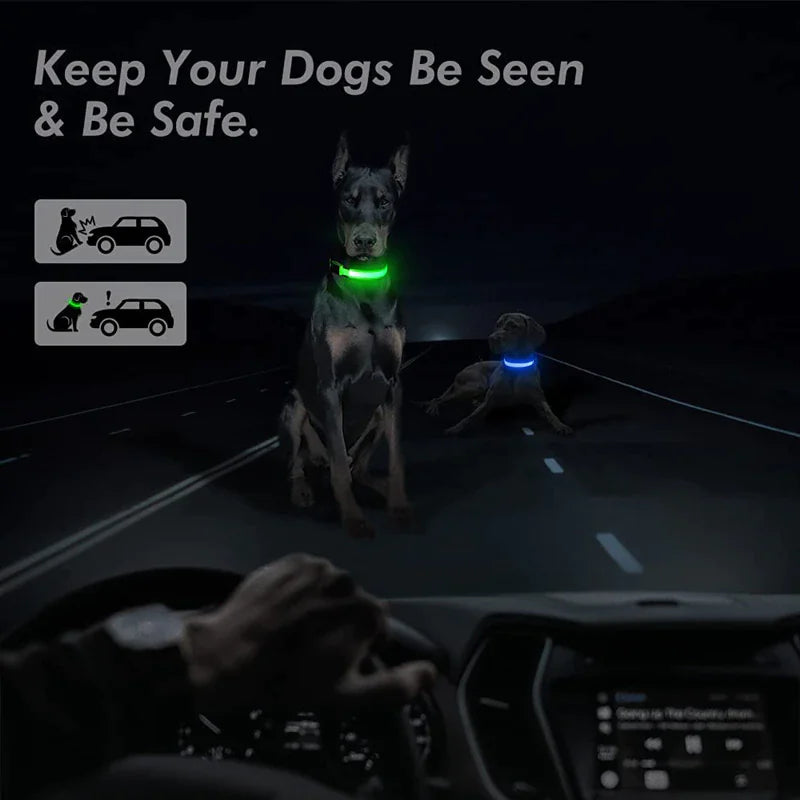 LED Glow Safety Dog Collar - Waterproof & Adjustable