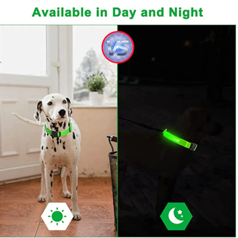 LED Glow Safety Dog Collar - Waterproof & Adjustable