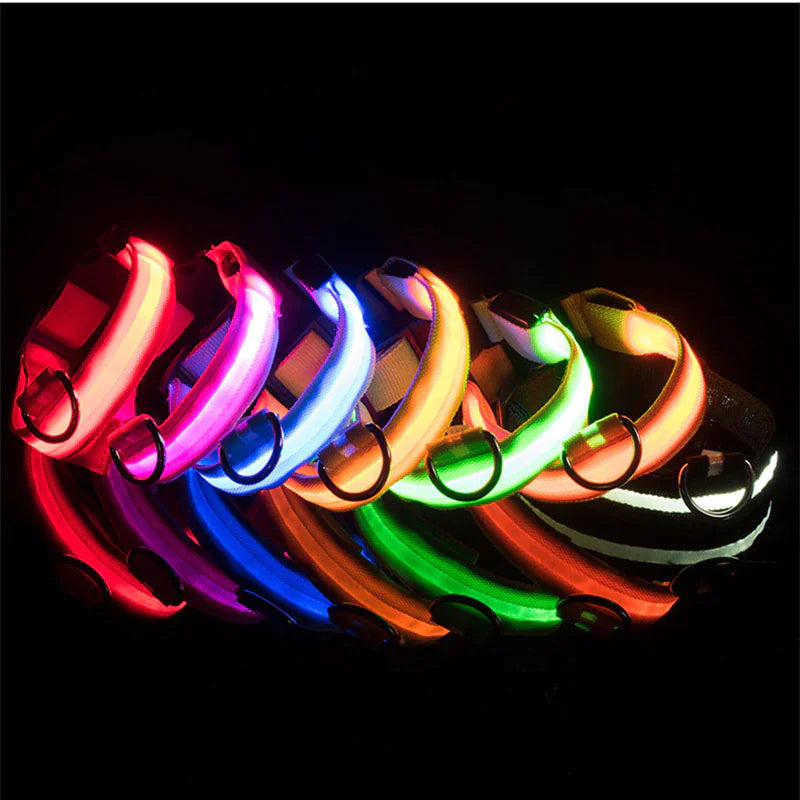 LED Glow Safety Dog Collar - Waterproof & Adjustable