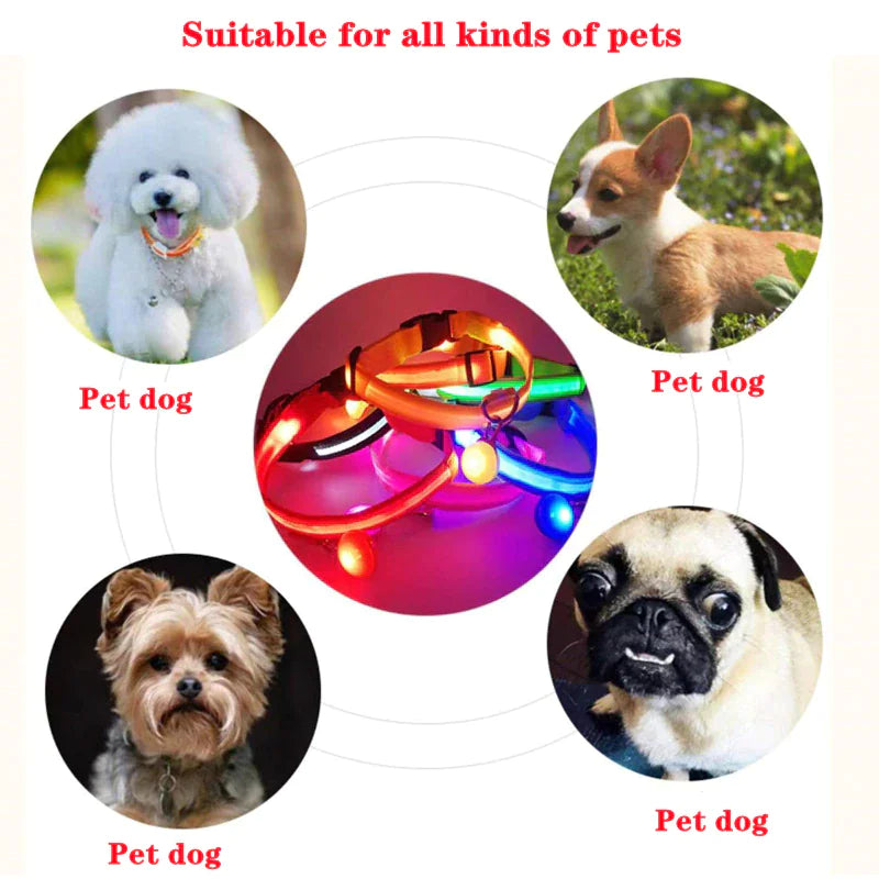 LED Glow Safety Dog Collar - Waterproof & Adjustable