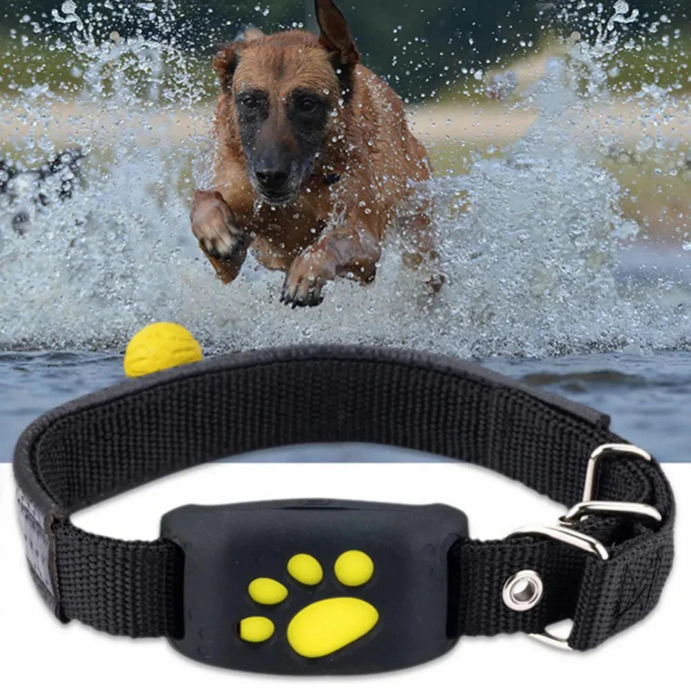 GPS Tracker Collar for Pets - Accurate Location Tracking - WUOF
