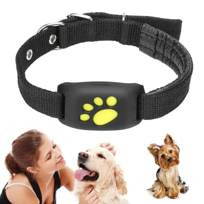GPS Tracker Collar for Pets - Accurate Location Tracking - WUOF