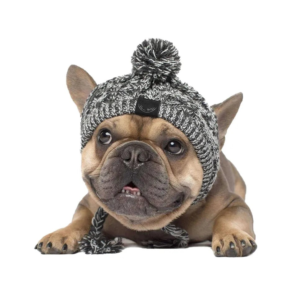 Stylish Canine Cap Companion | Breathable Design - HappyPets - WUOF