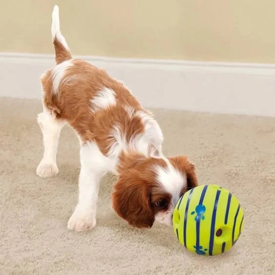 Glow-in-the-Dark Giggle Ball | Interactive Dog Toy for Night Play - WUOF