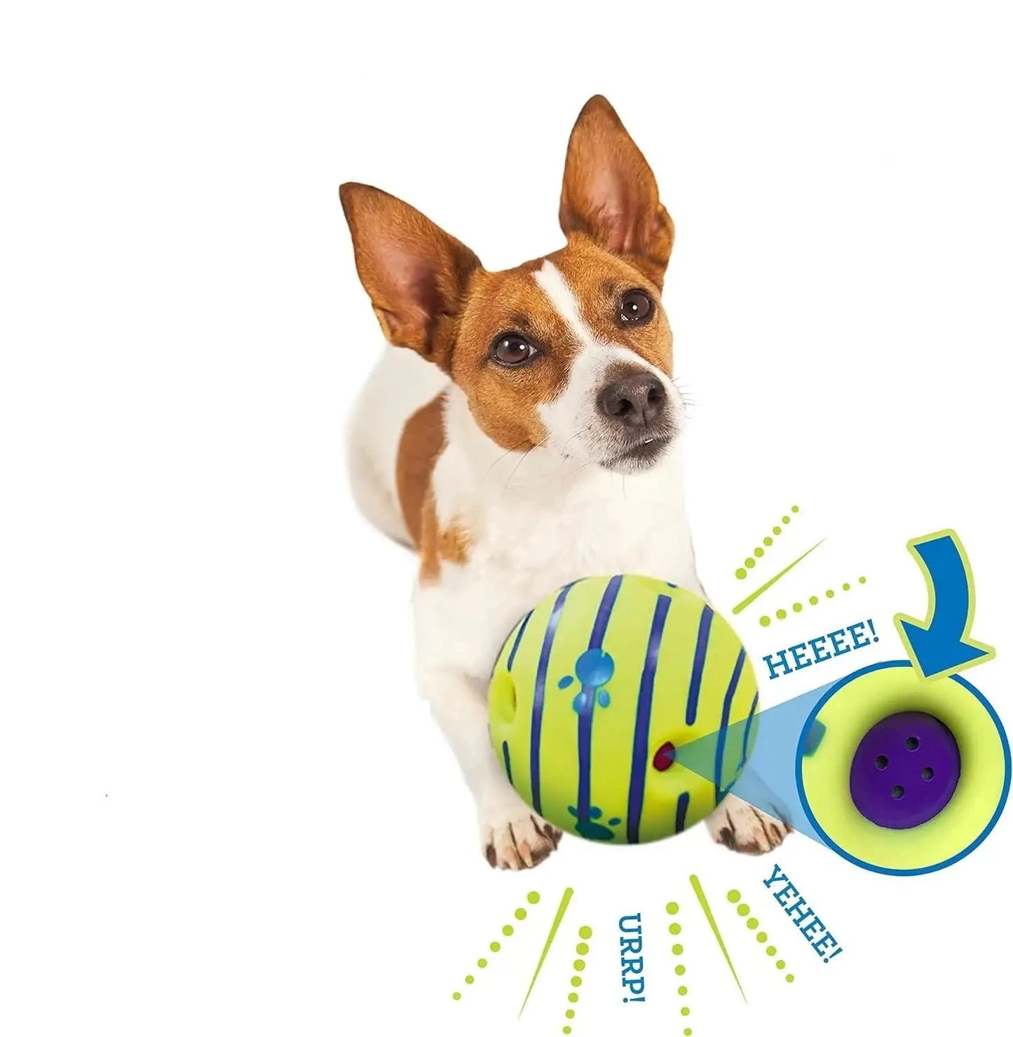 Glow-in-the-Dark Giggle Ball | Interactive Dog Toy for Night Play - WUOF