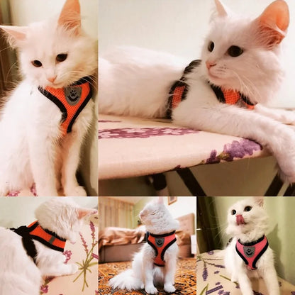 Comfy Pet Safety Harness - WUOF