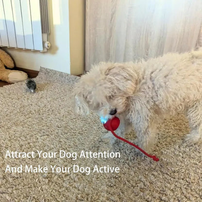 360 Smart Automatic Rolling Pet Ball - Interactive Fun for Pets