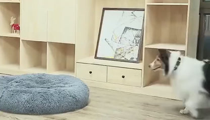 Luxury Plush Pet Bed - Ultimate Comfort and Style for Pets