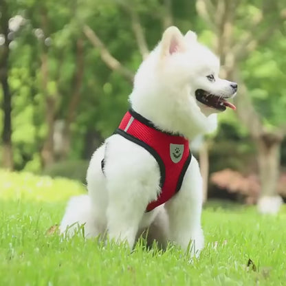 ComfyPet Safety Harness - Reflective, Adjustable, Breathable
