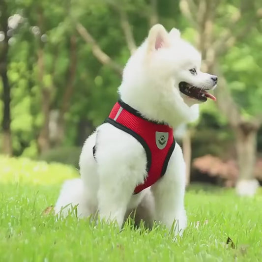 ComfyPet Safety Harness - Reflective, Adjustable, Breathable