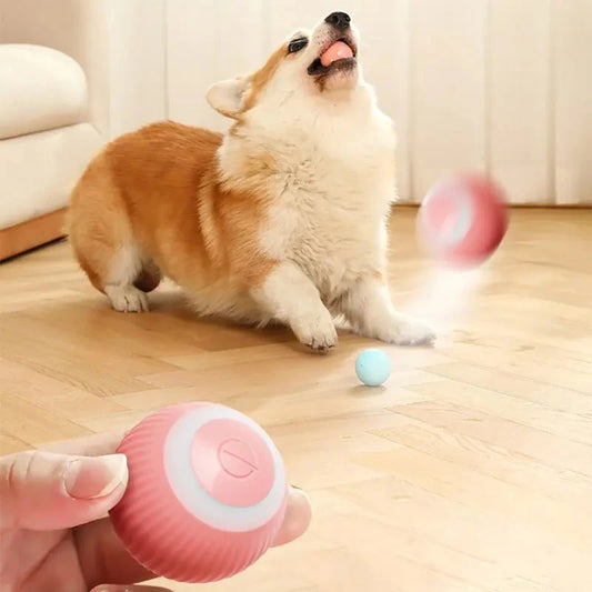 Interactive Smart Puppy Ball - Auto Rolling Pet Toy for Dogs & Cats - WUOF