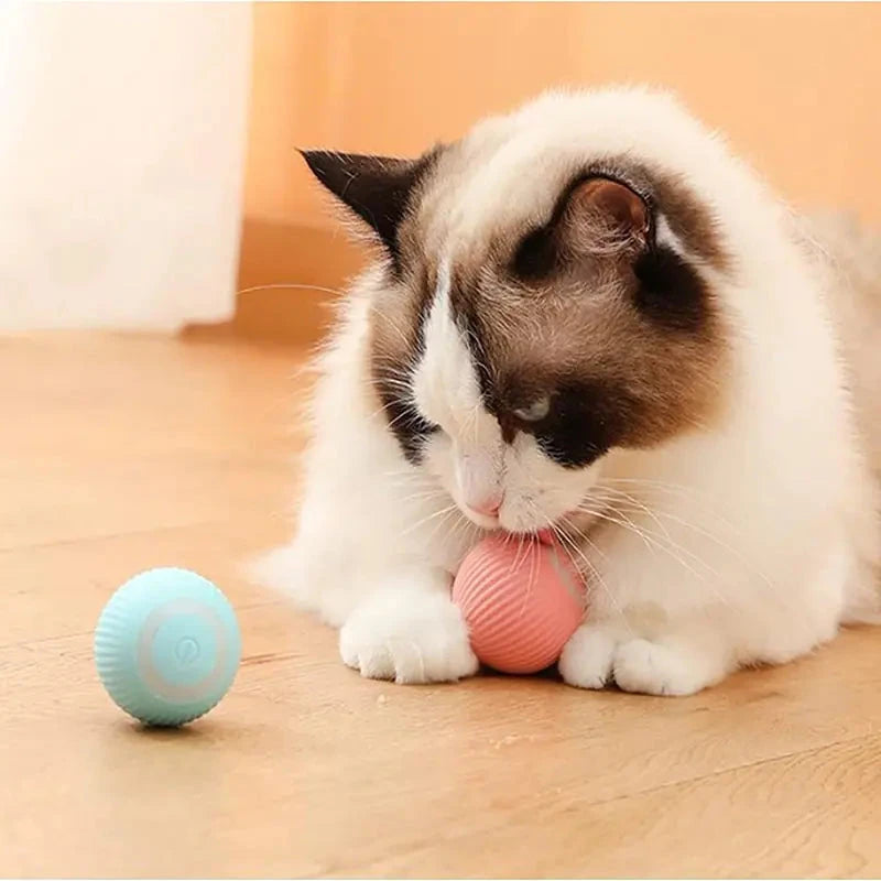 Interactive Smart Puppy Ball - Auto Rolling Pet Toy for Dogs & Cats - WUOF