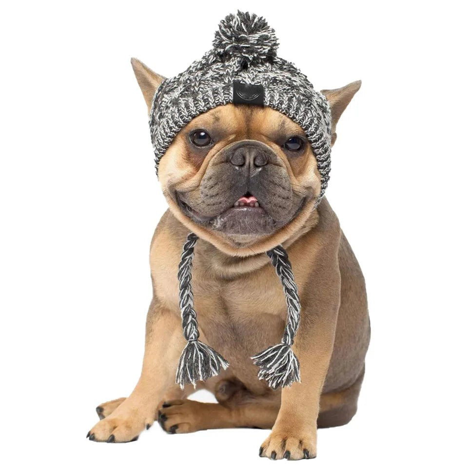 Stylish Canine Cap Companion | Breathable Design - HappyPets - WUOF