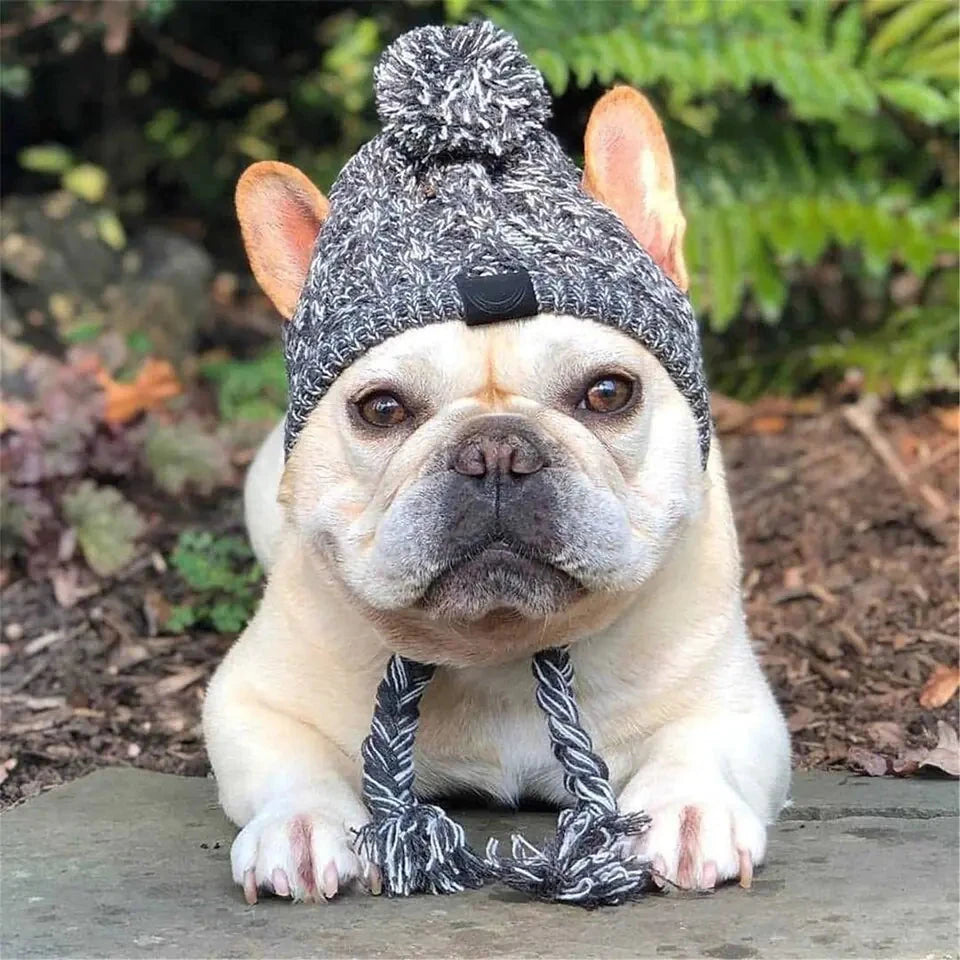 Stylish Canine Cap Companion | Breathable Design - HappyPets - WUOF