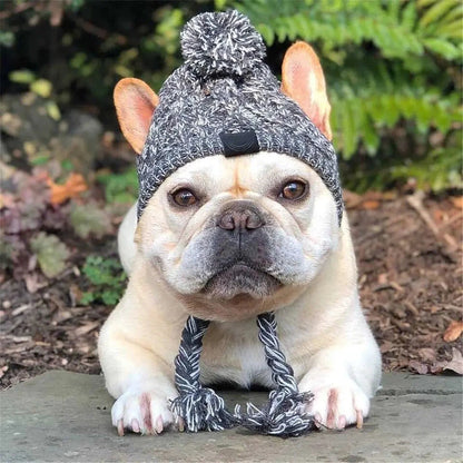Stylish Canine Cap Companion | Breathable Design - HappyPets - WUOF