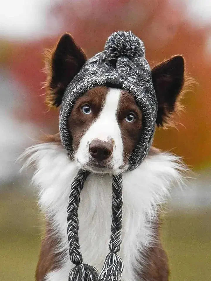 Stylish Canine Cap Companion | Breathable Design - HappyPets - WUOF