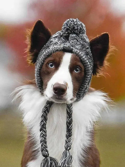 Stylish Canine Cap Companion | Breathable Design - HappyPets - WUOF