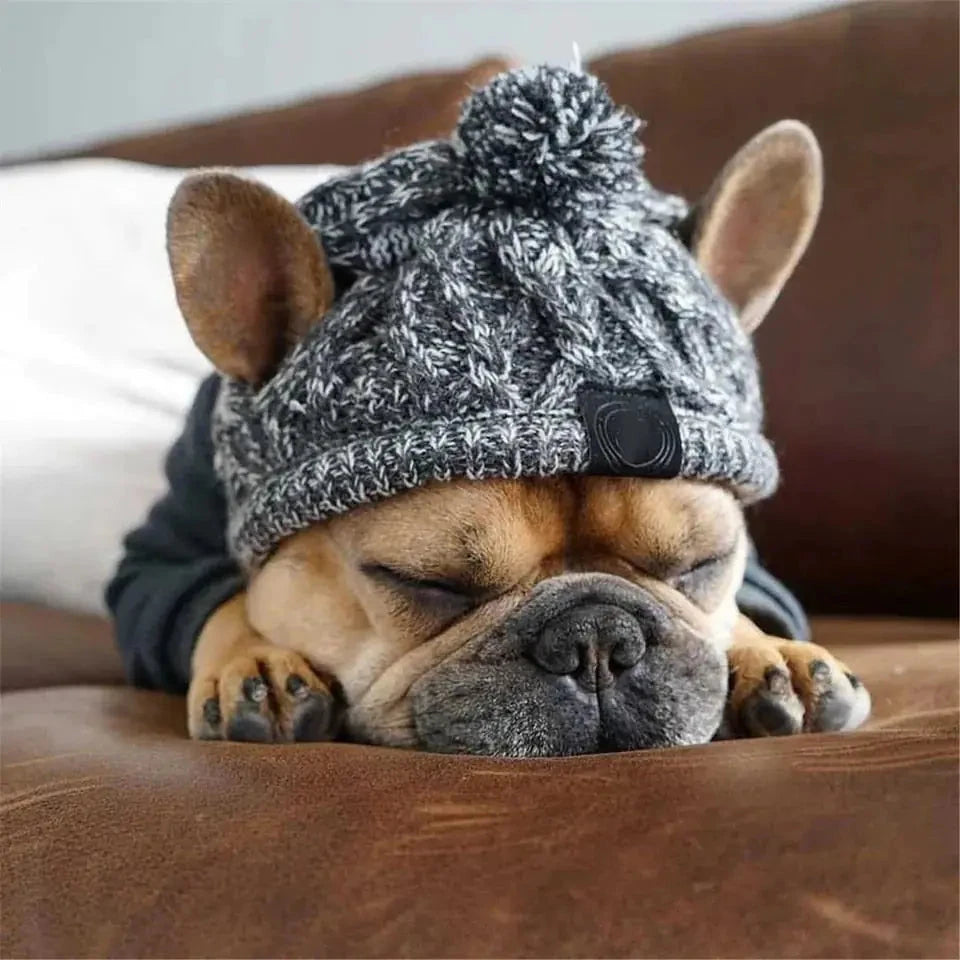 Stylish Canine Cap Companion | Breathable Design - HappyPets - WUOF