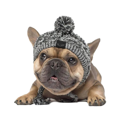 Stylish Canine Cap Companion | Breathable Design - HappyPets - WUOF