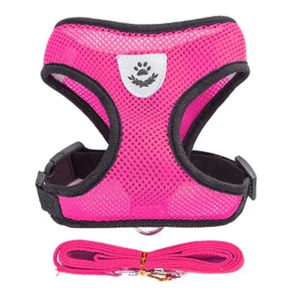 Comfy Pet Safety Harness - WUOF